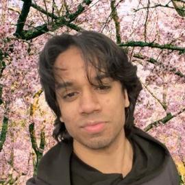 Faisal Shaik (DSI UG 2024)